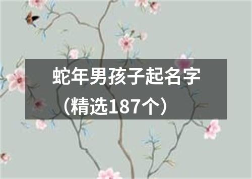 蛇年男孩子起名字（精选187个）