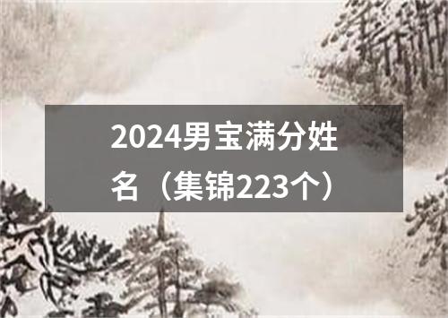 2024男宝满分姓名（集锦223个）