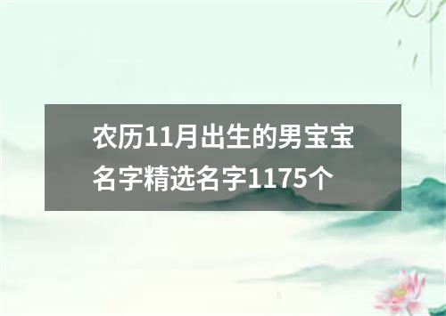 农历11月出生的男宝宝名字精选名字1175个