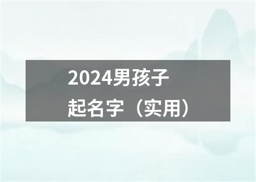 2024男孩子起名字（实用）