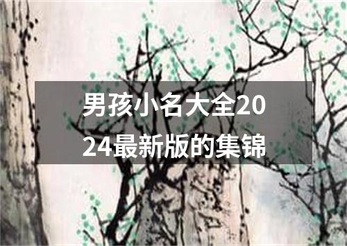 男孩小名大全2024最新版的集锦