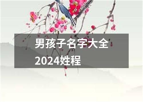 男孩子名字大全2024姓程