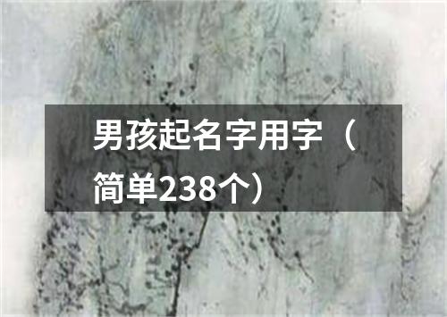 男孩起名字用字（简单238个）