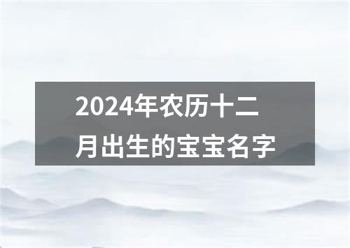 2024年农历十二月出生的宝宝名字