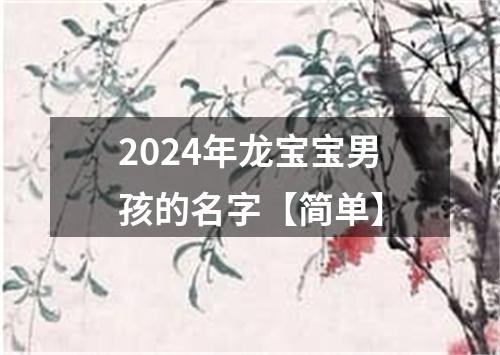 2024年龙宝宝男孩的名字【简单】