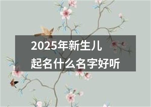 2025年新生儿起名什么名字好听