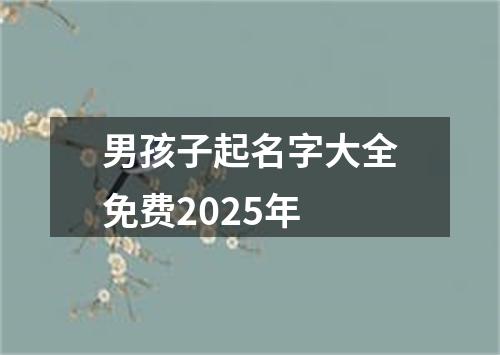 男孩子起名字大全免费2025年