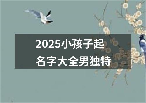 2025小孩子起名字大全男独特