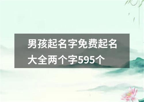 男孩起名字免费起名大全两个字595个