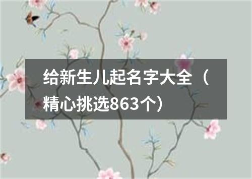 给新生儿起名字大全（精心挑选863个）