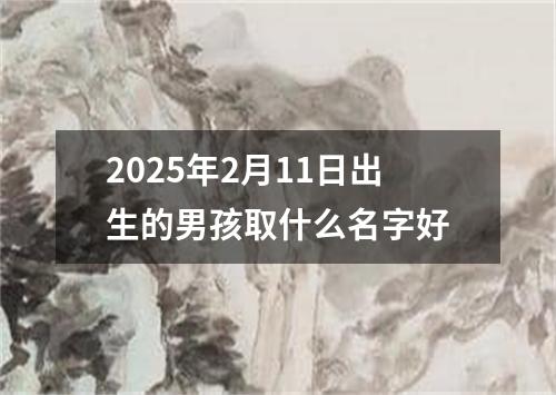 2025年2月11日出生的男孩取什么名字好