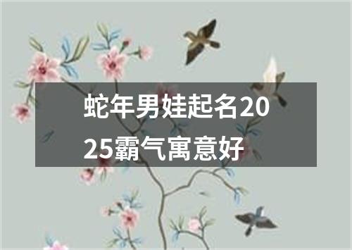 蛇年男娃起名2025霸气寓意好