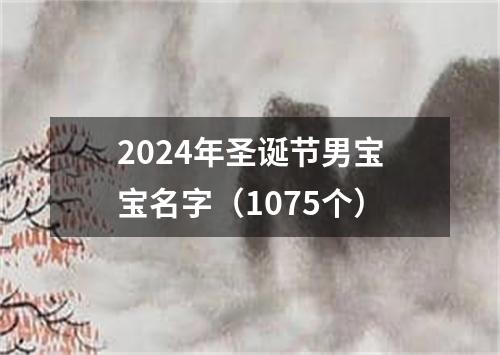 2024年圣诞节男宝宝名字（1075个）