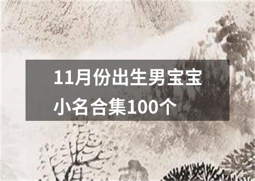 11月份出生男宝宝小名合集100个