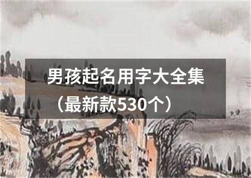 男孩起名用字大全集（最新款530个）