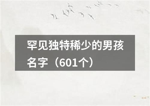 罕见独特稀少的男孩名字（601个）