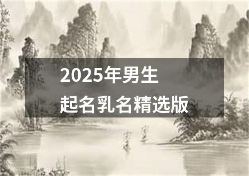 2025年男生起名乳名精选版