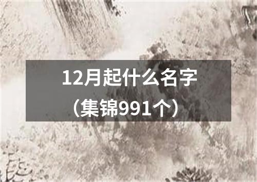 12月起什么名字（集锦991个）