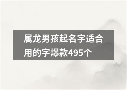 属龙男孩起名字适合用的字爆款495个