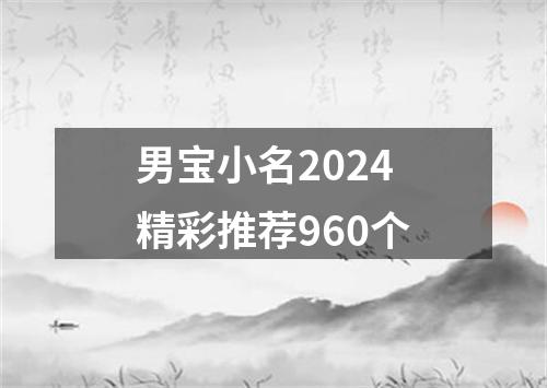 男宝小名2024精彩推荐960个