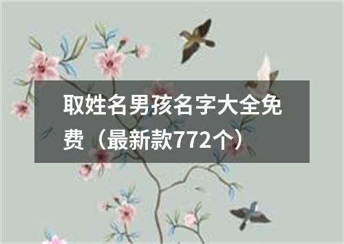 取姓名男孩名字大全免费（最新款772个）