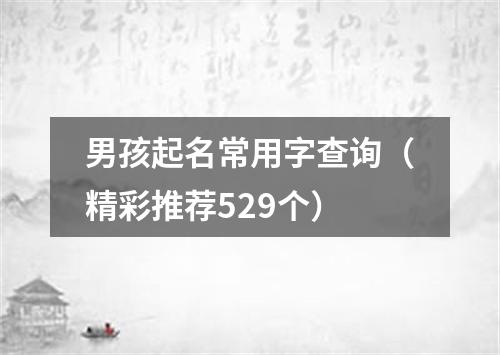 男孩起名常用字查询（精彩推荐529个）