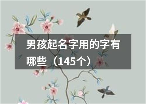 男孩起名字用的字有哪些（145个）