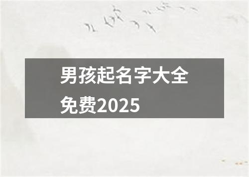 男孩起名字大全免费2025