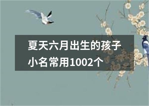 夏天六月出生的孩子小名常用1002个