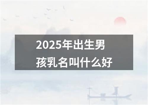 2025年出生男孩乳名叫什么好