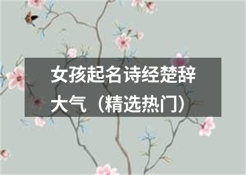 女孩起名诗经楚辞大气（精选热门）