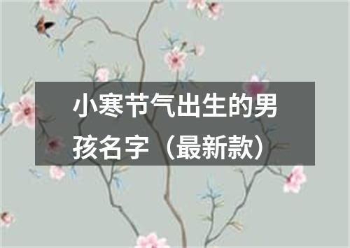 小寒节气出生的男孩名字（最新款）