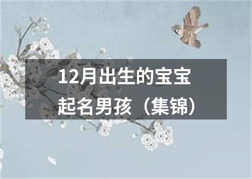 12月出生的宝宝起名男孩（集锦）