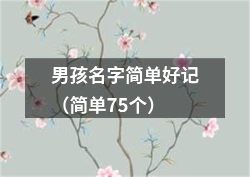 男孩名字简单好记（简单75个）