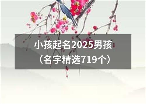 小孩起名2025男孩（名字精选719个）