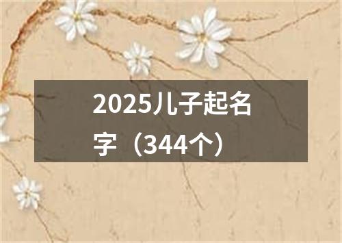 2025儿子起名字（344个）