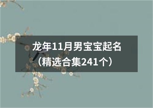 龙年11月男宝宝起名（精选合集241个）