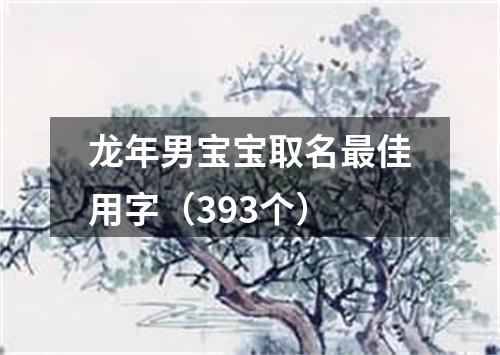 龙年男宝宝取名最佳用字（393个）