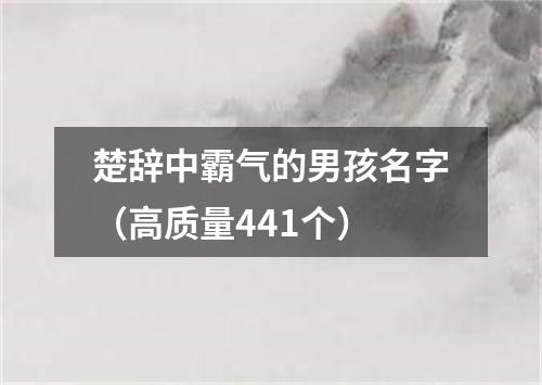 楚辞中霸气的男孩名字（高质量441个）