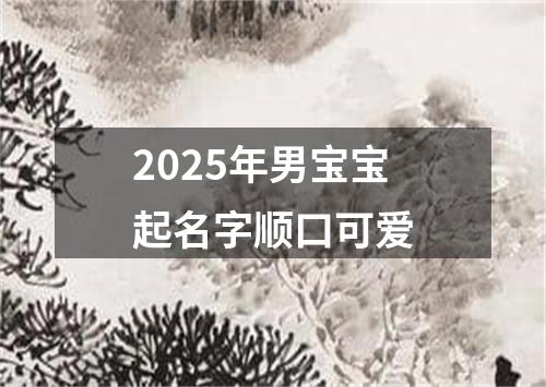 2025年男宝宝起名字顺口可爱