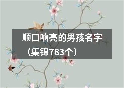 顺口响亮的男孩名字（集锦783个）