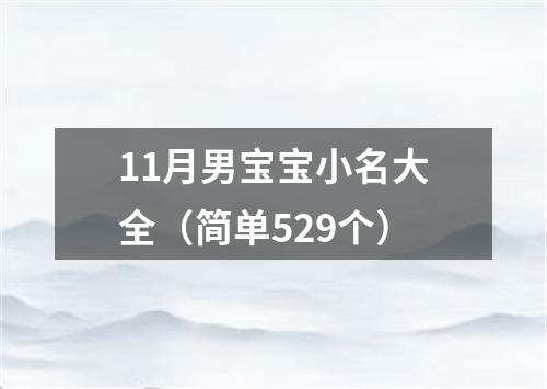 11月男宝宝小名大全（简单529个）