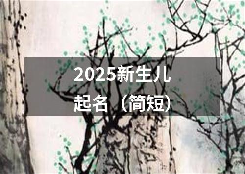 2025新生儿起名（简短）