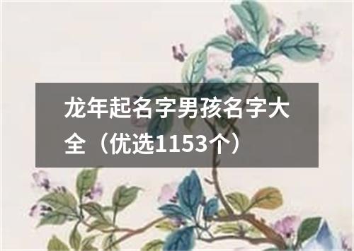 龙年起名字男孩名字大全（优选1153个）