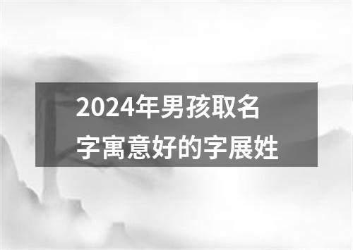 2024年男孩取名字寓意好的字展姓