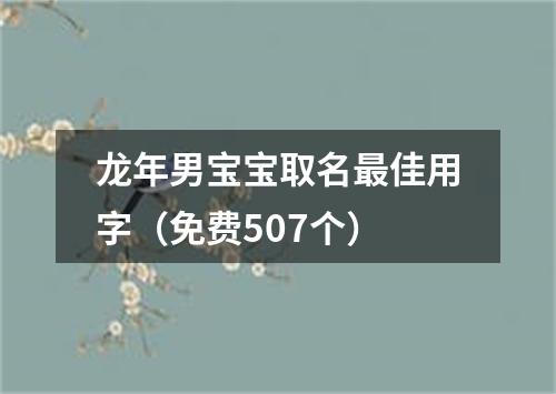 龙年男宝宝取名最佳用字（免费507个）