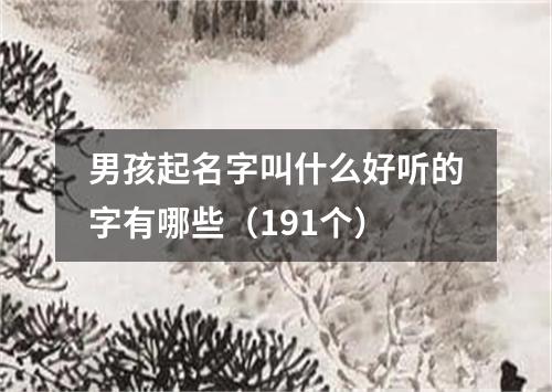 男孩起名字叫什么好听的字有哪些（191个）