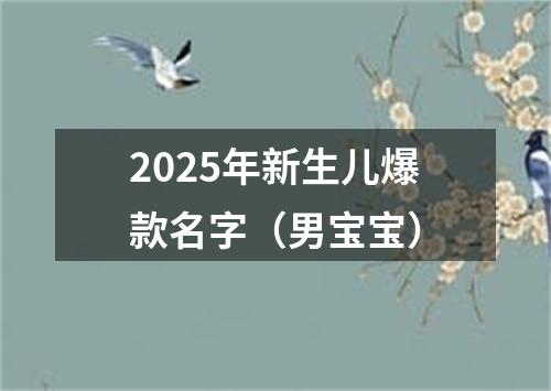 2025年新生儿爆款名字（男宝宝）