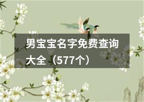 男宝宝名字免费查询大全（577个）