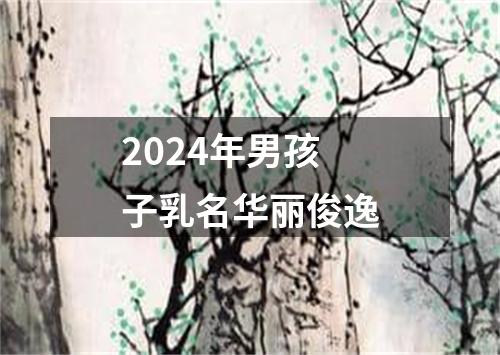 2024年男孩子乳名华丽俊逸